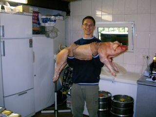 Bilder 2006