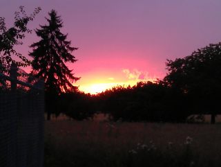 Bilder 2012